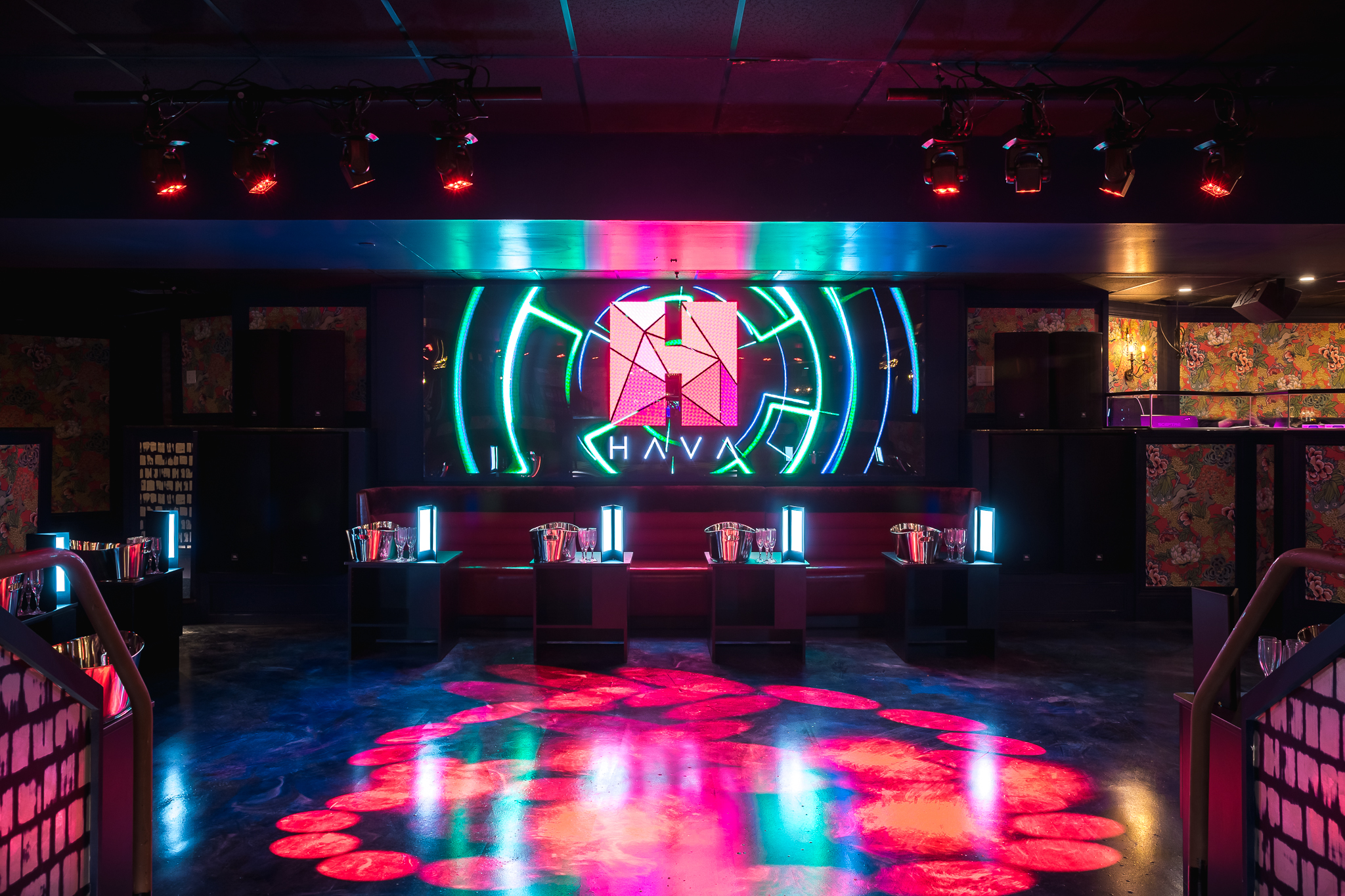 hava boston pasha entertainment hava boston pasha entertainment